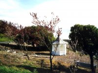 221266TIBURON