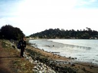 221267TIBURON