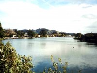 221269TIBURON