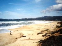 223287HALFMOONBAY