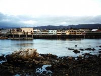 223295MONTEREYOLDFISHERMAN_