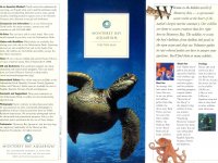224299MONTEREYBAYAQUARIUM