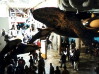 224302MONTEREYBAYAQUARIUM