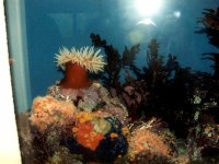 224310MONTEREYBAYAQUARIUM