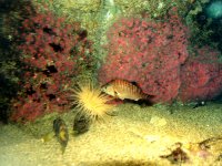 224311MONTEREYBAYAQUARIUM