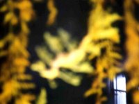 224315MONTEREYBAYAQUARIUM