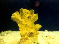 224316MONTEREYBAYAQUARIUM