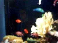 224317MONTEREYBAYAQUARIUM