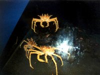 224321MONTEREYBAYAQUARIUM