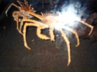 224322MONTEREYBAYAQUARIUM