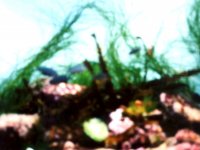224325MONTEREYBAYAQUARIUM