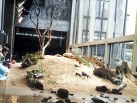 224327MONTEREYBAYAQUARIUM