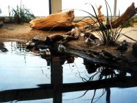 224328MONTEREYBAYAQUARIUM