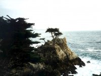 224343SEVENTEENMILEDRIVE