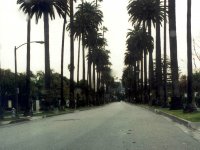 225361LABEVERLYHILLS