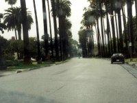 225362LABEVERLYHILLS