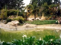 302448OAKLANDZOO