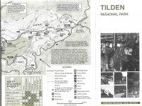 307465TILDENPARK