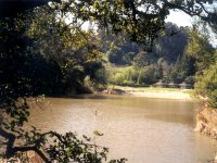 307466TILDENLAKEANZE