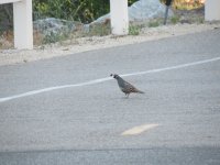 IMG_5270