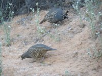 IMG_5607
