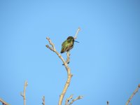 IMG_5637