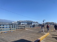 IMG_8537