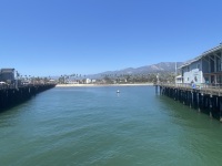 IMG_8544