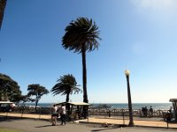 IMG_5346