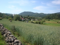 DSC09158