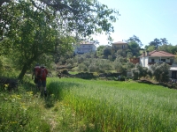 DSC09164