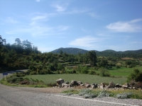 DSC09183