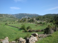 DSC09184