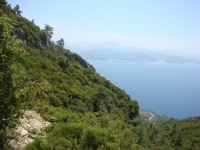 DSC09242