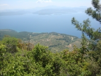 DSC09264