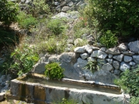 DSC09274