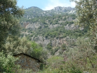 DSC09283