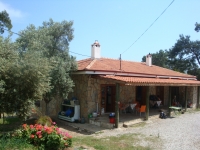 DSC09306