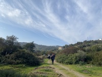 IMG_0474