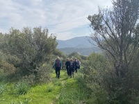 IMG_0488