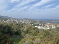 IMG_0495
