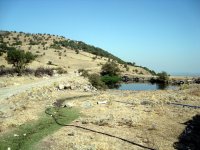 DSC04794