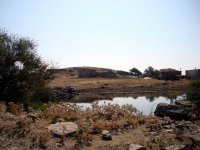 DSC04796