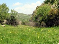 IMG_1690
