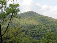 IMG_1722