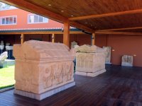 IMG_6956