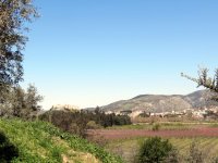 IMG_7024