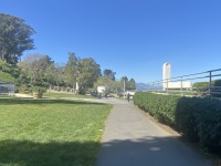 IMG_7556