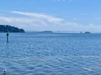IMG_8357