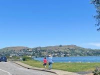 IMG_8361